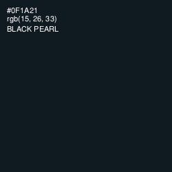 #0F1A21 - Black Pearl Color Image